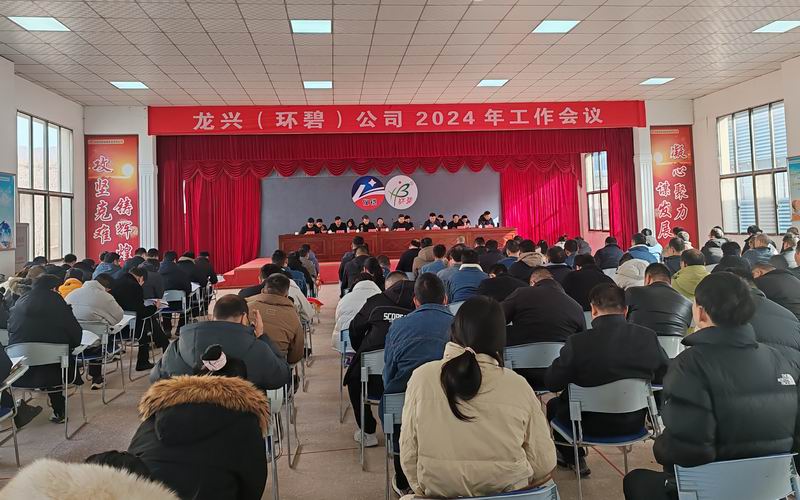 龙兴（开云唯一官网_开云(中国)
）公司召开2024年工作会议