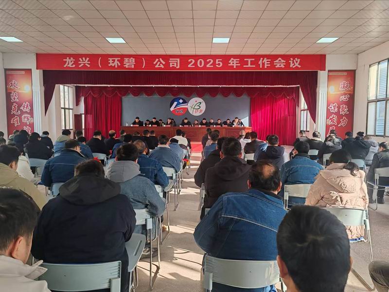 龙兴（开云唯一官网_开云(中国)
）公司召开2025年工作会议